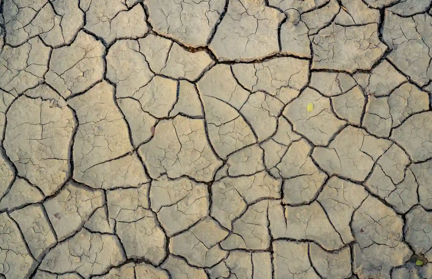 Día de la Tierra 2025: un llamado a la acción por nuestro planeta